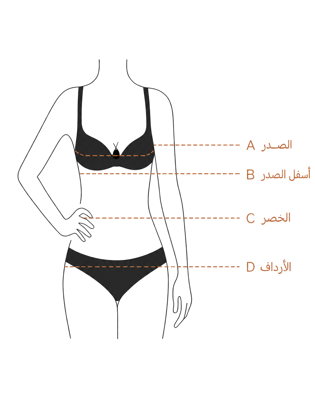 دليل قياسات دانتيل