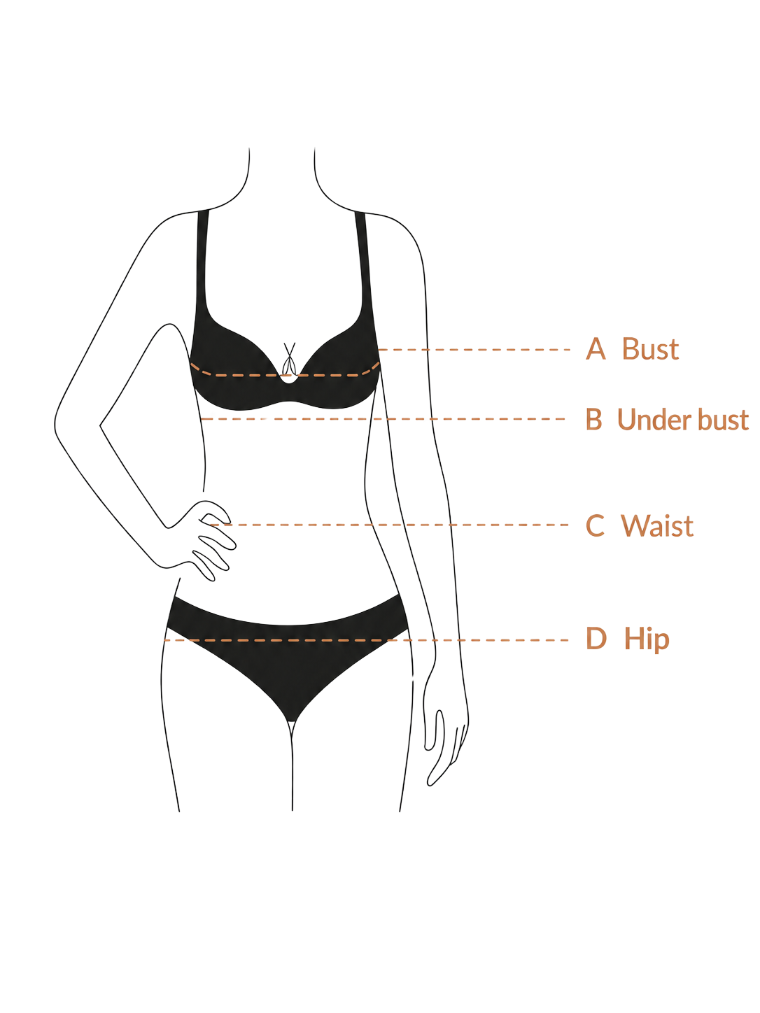 Dentelle size guide
